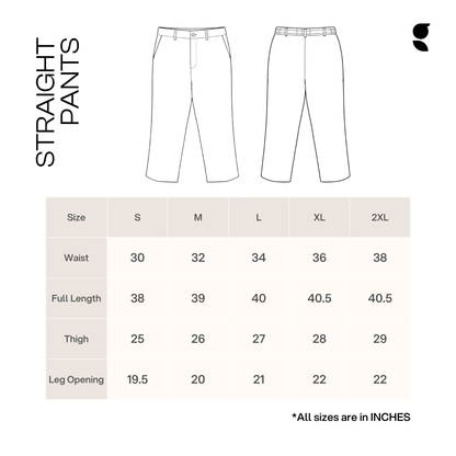 Straight Cut Dress Pants । Beige